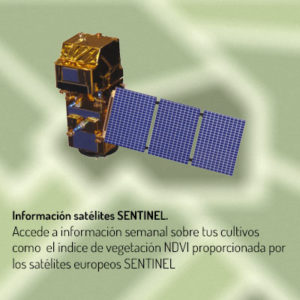 Información Satélite SENTINEL