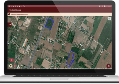 Gestion de Viñedos